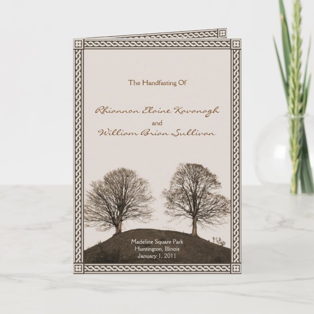 Programa de ayuno manual (Anverso)