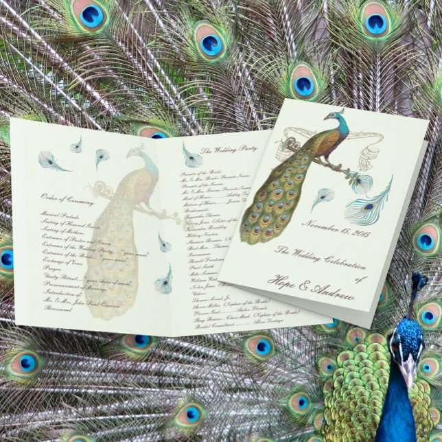 Programa de Boda con Plumas de Pavo Real (Subido por el creador)