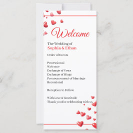 Programa de Boda Corazones de Rosa Suave
