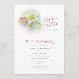 Programa de boda de cascos de manantiales de color