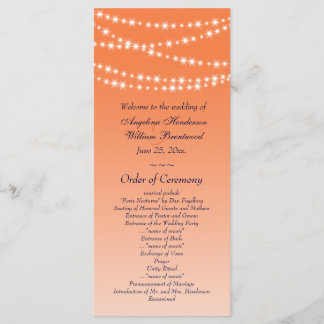 Programa de Boda de Celosia Naranja Twinkle Lights