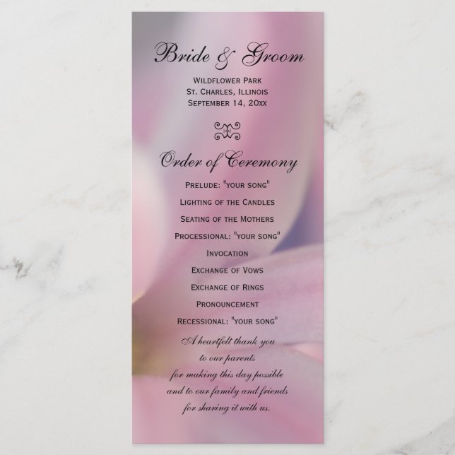 Programa de Boda de Flores de Hielo Rosa (Anverso)