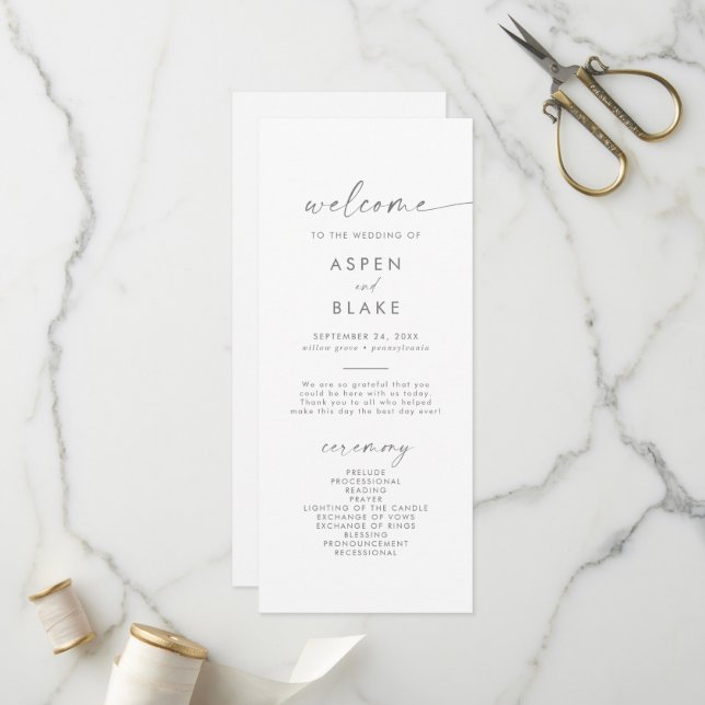 Programa de boda de guiones plateados modernos (Anverso/Reverso In Situ)
