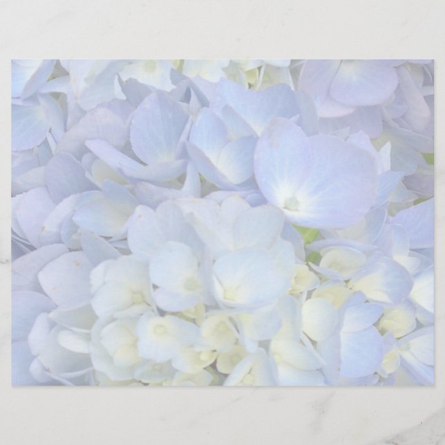 Programa de Boda de Hortensia Azul Claro Papel en  (Anverso)