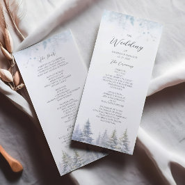Programa de Boda de Invierno con Pinos