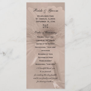 Programa de Boda de marea rosa pálido