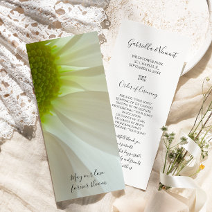 Programa de Boda de Petales de margarita blanca
