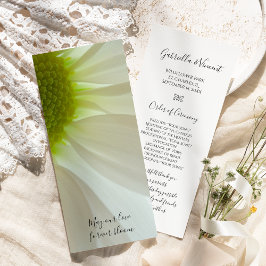 Programa de Boda de Petales de margarita blanca