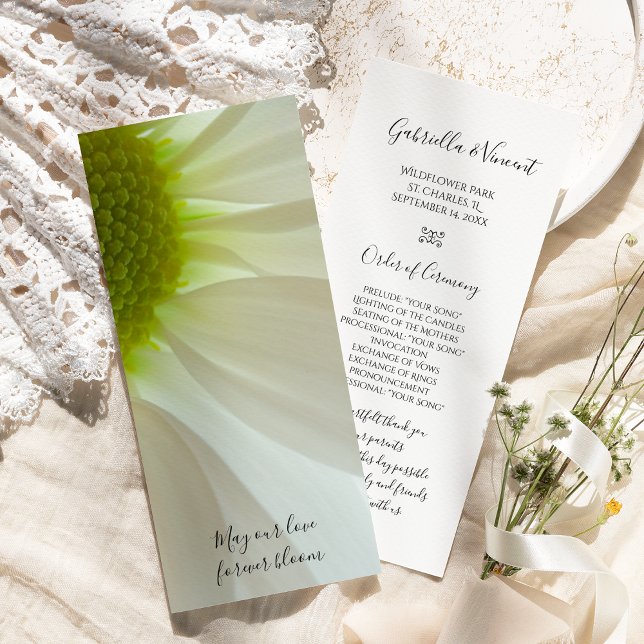 Programa de Boda de Petales de margarita blanca (Subido por el creador)