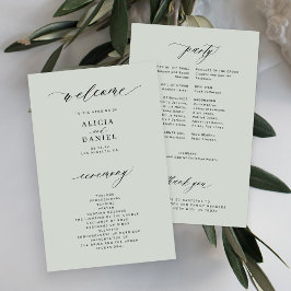 Programa de boda elegante verde salvia presupuesto