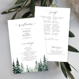 Programa de boda en el bosque de pinos de montaña