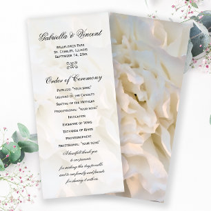 Programa de Boda Floral de Carnación Blanca
