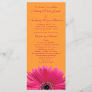 Programa de Boda Naranja de Gerbera Daisy
