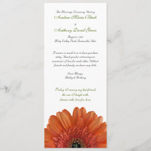 Programa de Boda naranja Gerbera Daisy