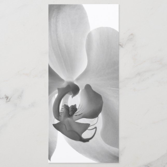 Programa de Boda Orquídea Blanca (Anverso)