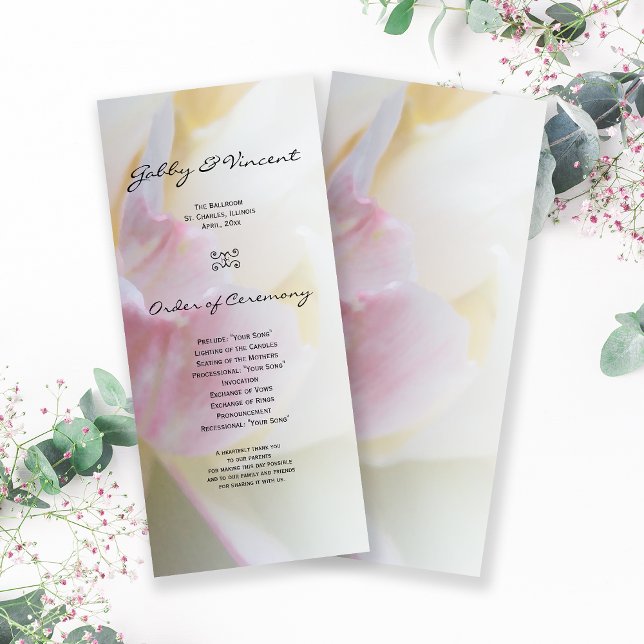 Programa de Boda Primaria con Flor de Tulipano Ros (Subido por el creador)