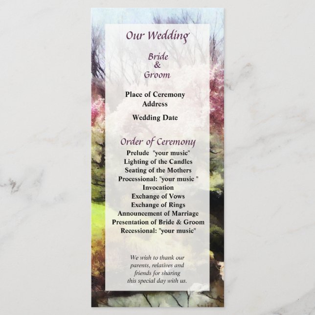 Programa de Boda Primaria de Japón (Anverso)