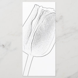 Programa de Boda Primaria Tulip Sketch