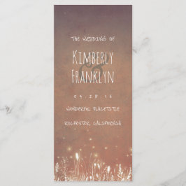 Programa de Boda Rústica de Luchas Luminosas Noctu