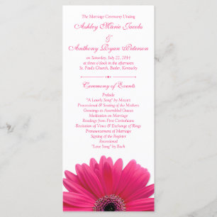 Programa de Bodas Blancas de Gerbera Daisy