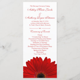Programa de Bodas Blancas de la Flor Red Gerbera D