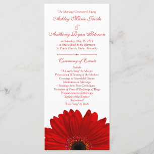 Programa de Bodas Blancas de la Flor Red Gerbera D