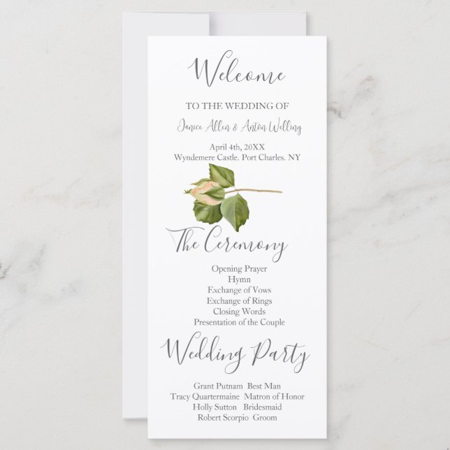 Programa de bodas botánicas rosadas de Rubor (Anverso)