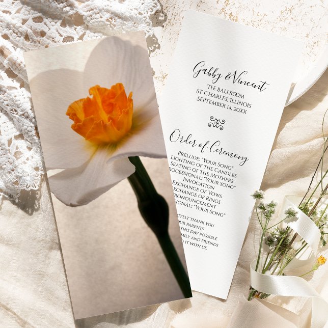 Programa de Bodas de Daffodil de Primavera Blanca (Subido por el creador)