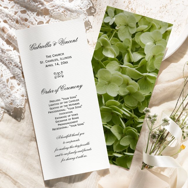 Programa de bodas de flores de Annabelle verde Hyd (Subido por el creador)