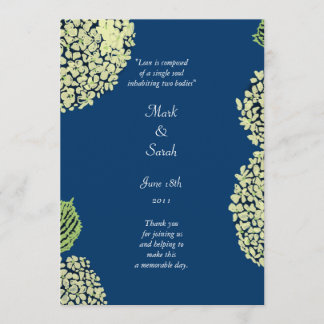 Programa de Bodas de Hidrangea Blueberry