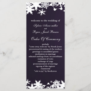 programa de bodas de invierno con copos de nieve p