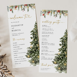 Programa de Bodas de Invierno de Luces de Pino de