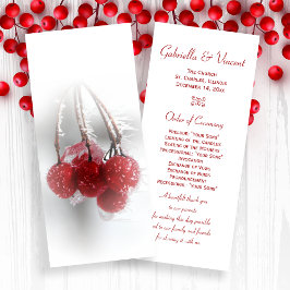 Programa de Bodas de Invierno Red Frosty Berries