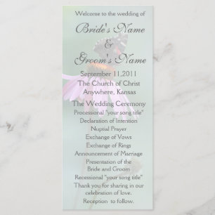 Programa de bodas de mariposa/gris