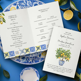 Programa de bodas en el campo italiano Lemon Grove