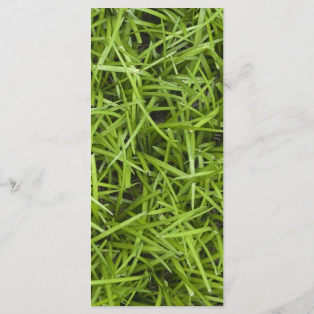 Programa de bodas en el patio trasero de hierba ve (Reverso)