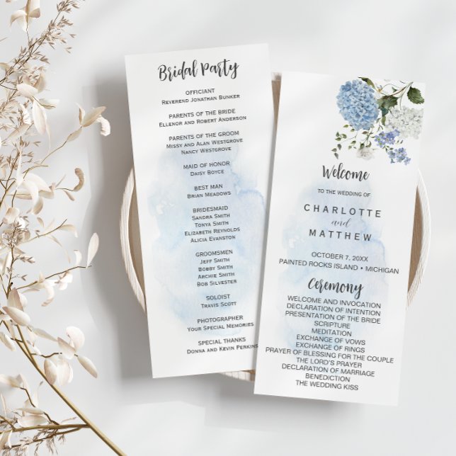 Programa de Bodas Florales de Hidrángulos Blancos  (Subido por el creador)