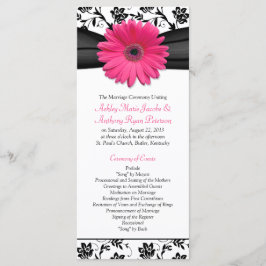 Programa de Bodas Florales Negras Pink Gerbera Dai