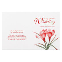 Programa de bodas florales rojas de Crocus naranja