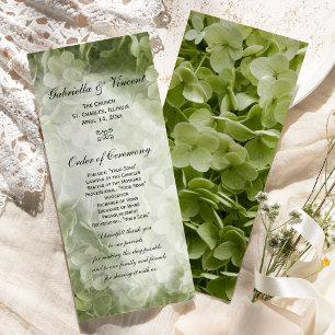 Programa de bodas Green Annabelle Hydrangea