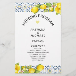 Programa de bodas mediterráneas limoneras modernas