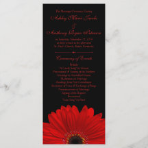 Programa de Bodas Negras de Flores Red Gerbera Dai