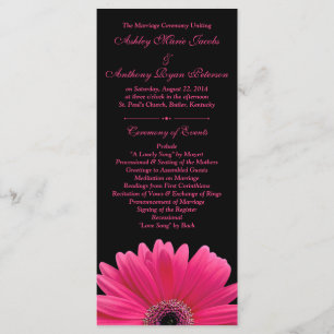 Programa de Bodas Negras de Gerbera Daisy Hot Pink