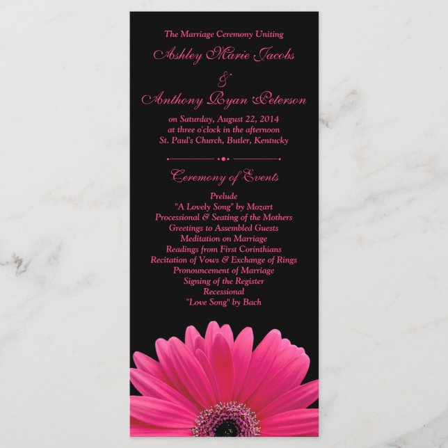 Programa de Bodas Negras de Gerbera Daisy Hot Pink (Anverso)
