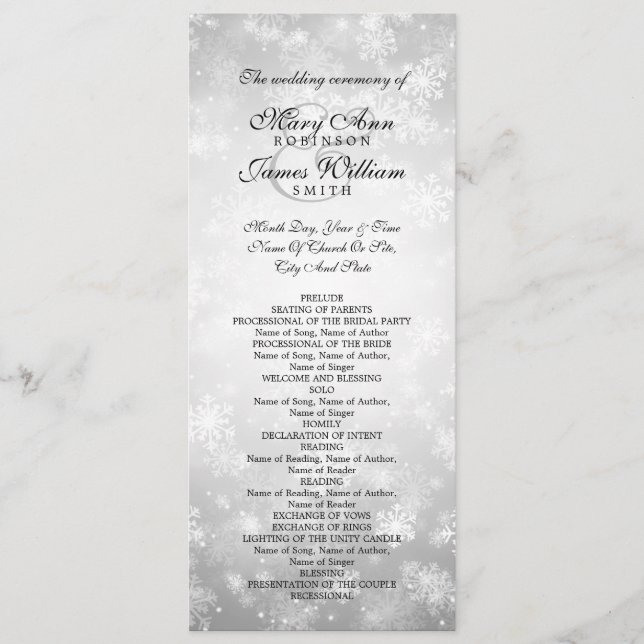 Programa de bodas Silver Winter Wonderland Sparkle (Anverso)