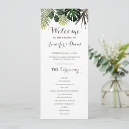 Programa de Bodas Tropicales Planta Monstera Fern 