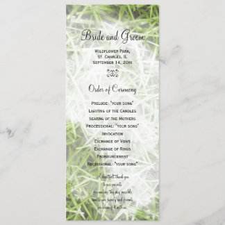 Programa de bodas veraniegas de jardín trasero de 
