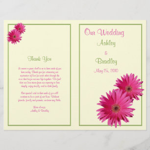 Programa de Bodas Verdes Pink Gerbera Daisy