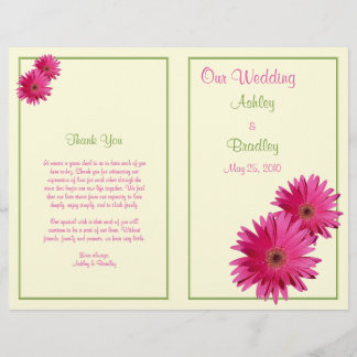 Programa de Bodas Verdes Pink Gerbera Daisy