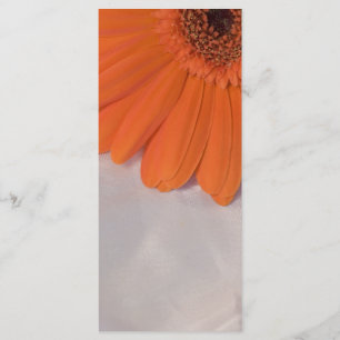 Programa de casamiento con satén blanco y daisy na